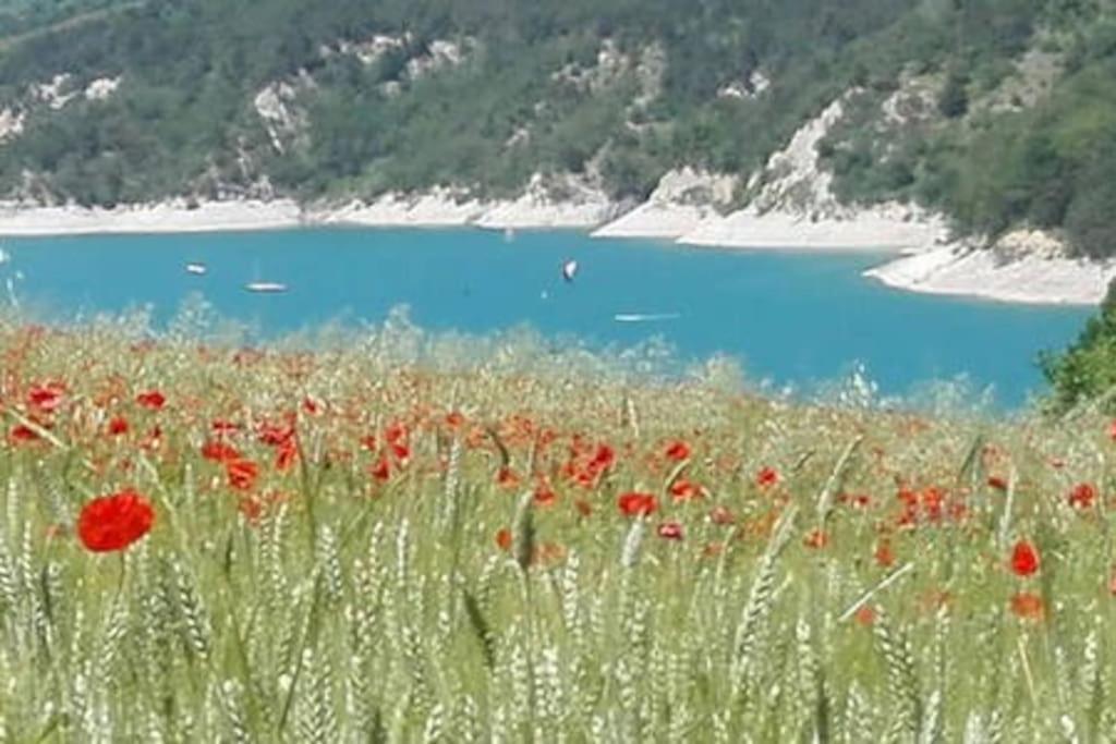 Gite De Charme : La Grange Au Lac Azur Treffort  Екстериор снимка